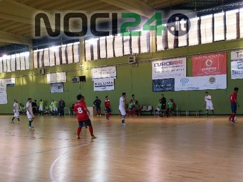 02 13 noci c5 just mola