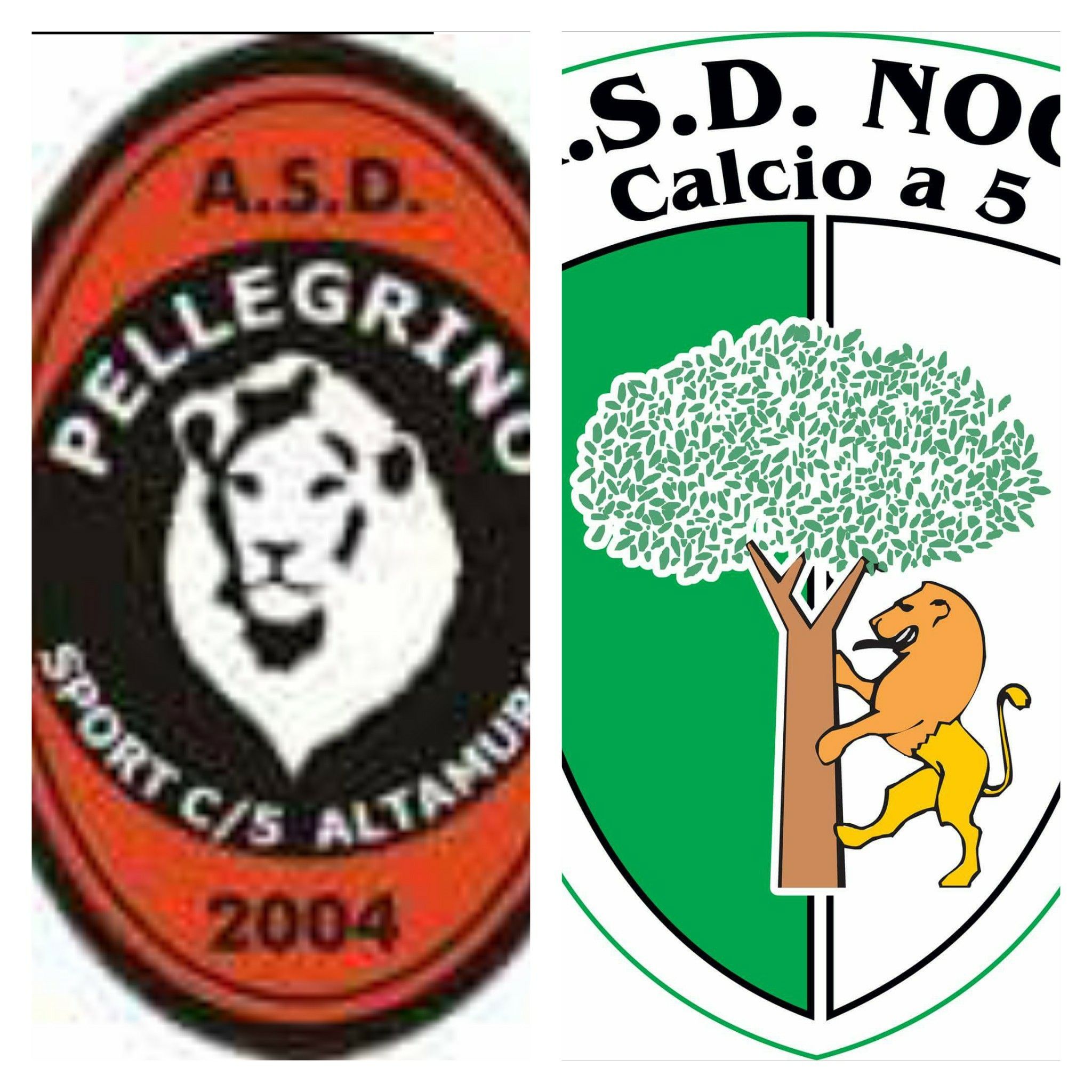 05 14 pellegrino sport vs noci c5