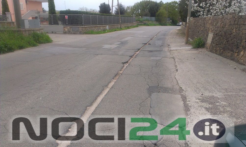 Noci,Fibra,Ottica,