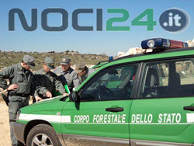 forestale 04