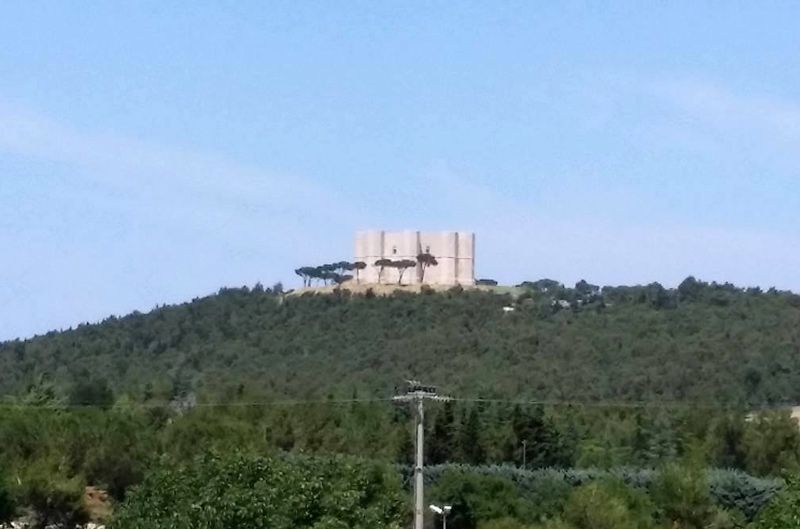 andria casteldelmonte 1