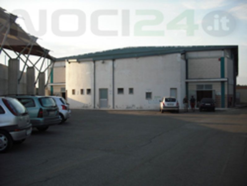 nuovo palazzetto dello sport 01