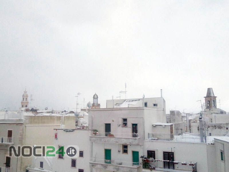 01 06 neve