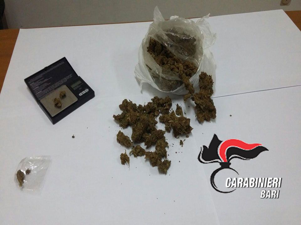 03 08 droga