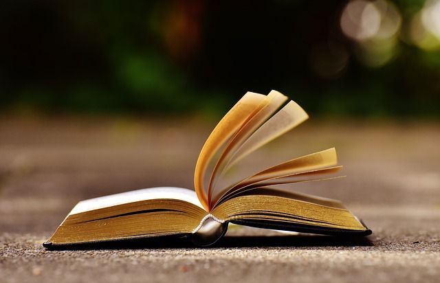 03 14 libro