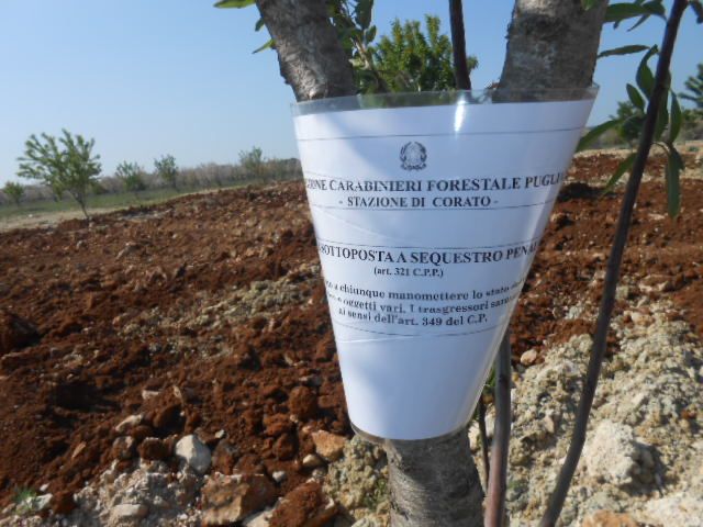 04 28sequestroruvodipuglia