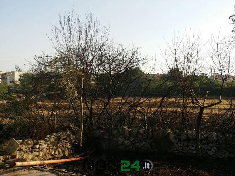 07 21incendioviavasconi1