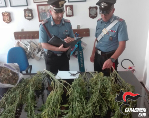 07 22 Rutigliano