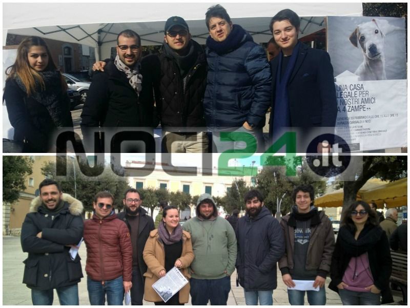 02 19 in piazza per i cani