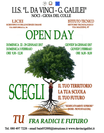 01.14 liceo da vinci