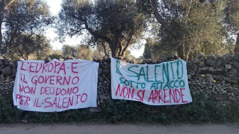 04 04 manifestazionetaprifondazionenoci1