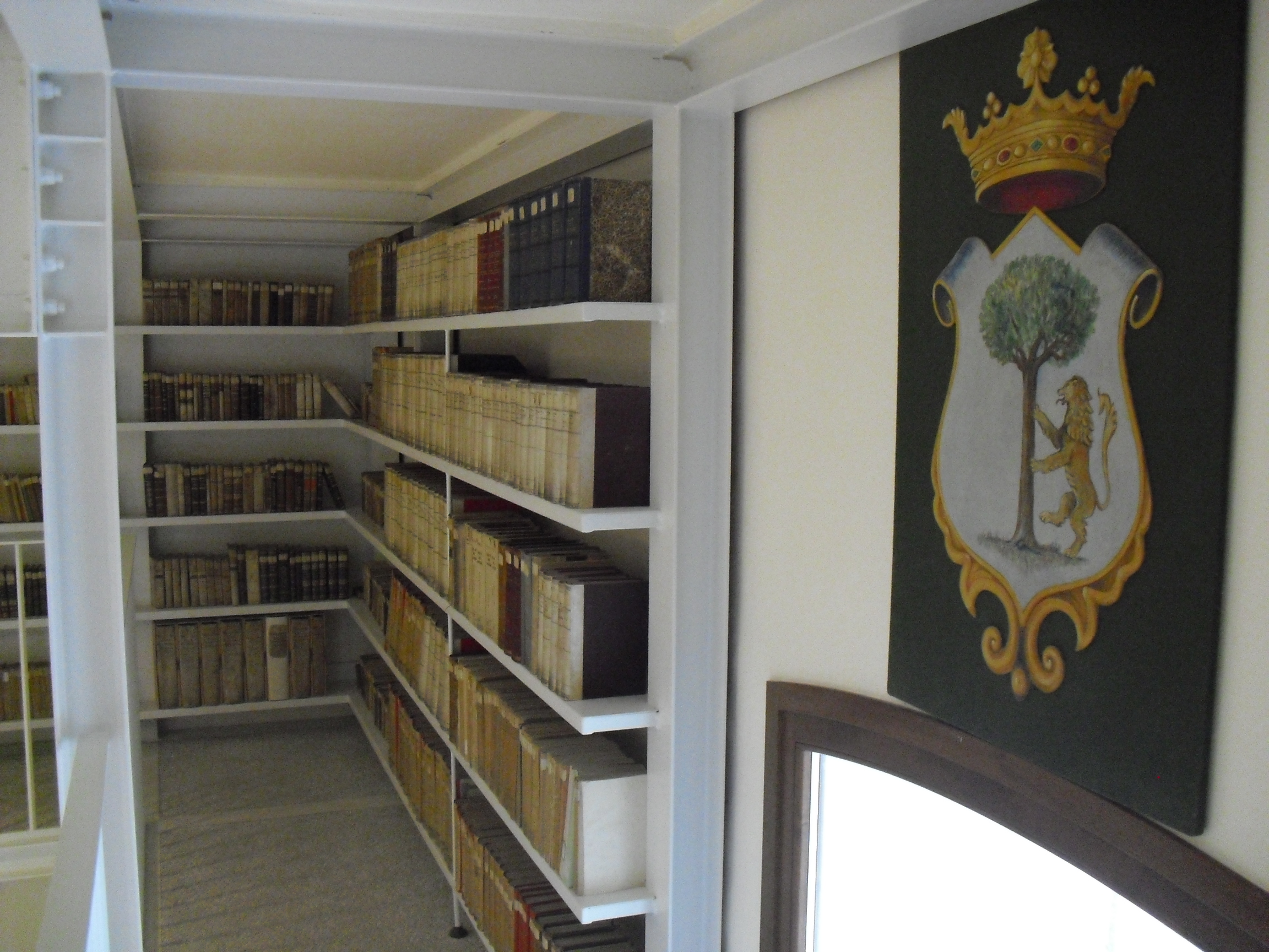 Biblioteca 1