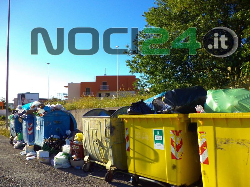 cassonetti con rifiuti 1