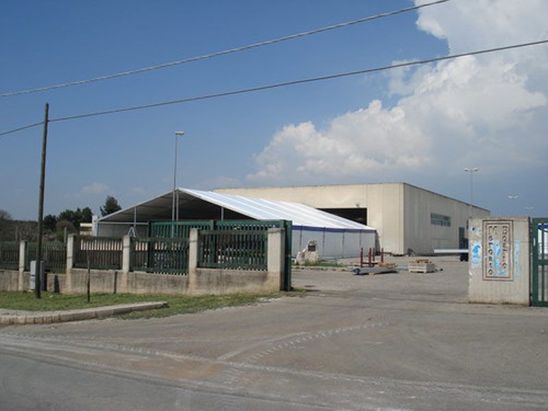 nuovo foro boario 02