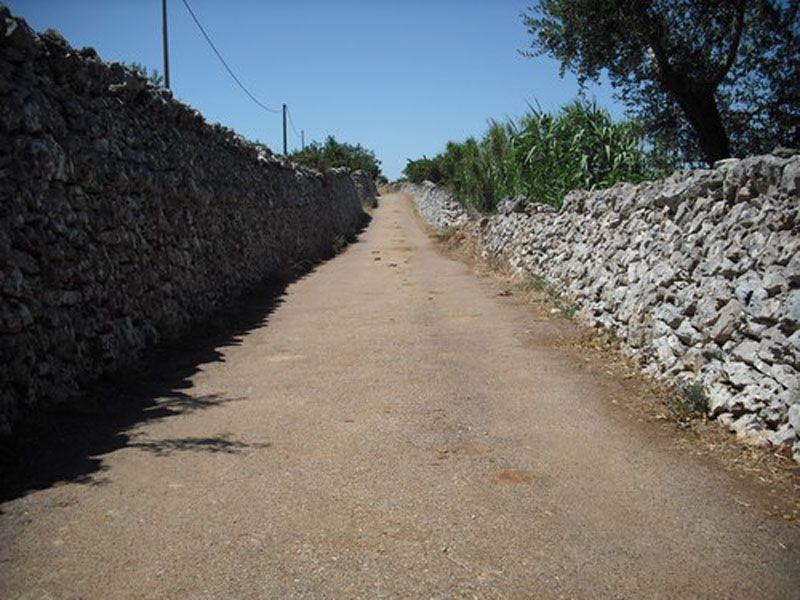 strada tratturi di campagna 01