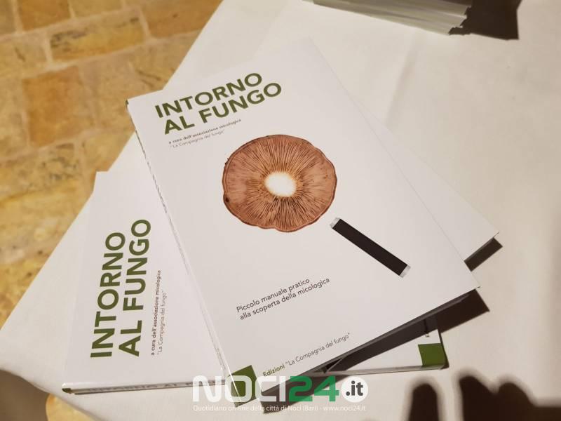03 25intornoalfungo1