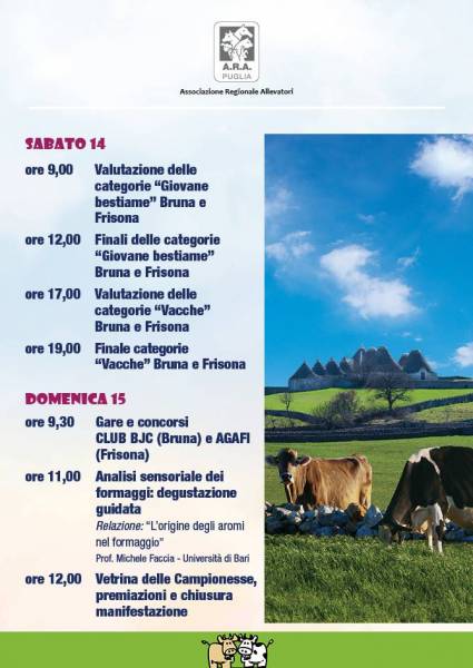04 12fiera bovina 3