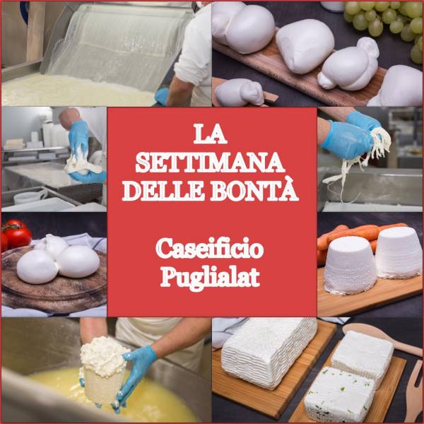05 21 puglialat 2