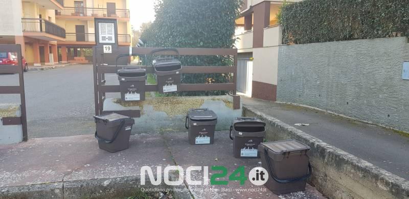 raccolta differenziata