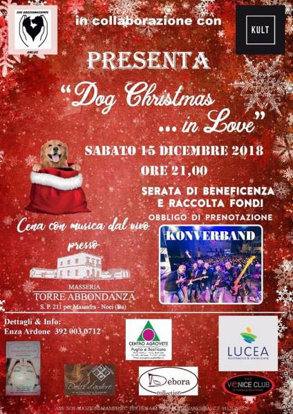 12 13Dog Christmas in Love