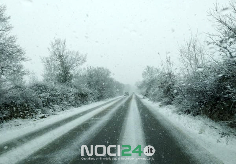02 25 neve 2