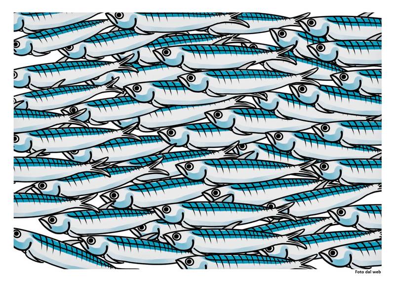 Movimento sardine