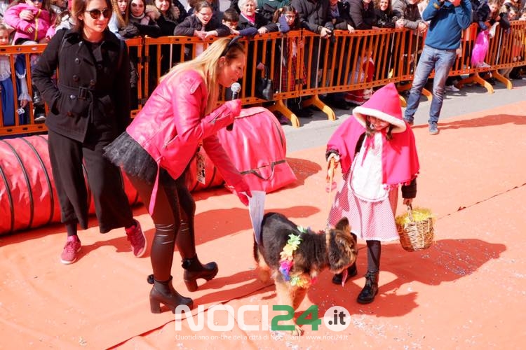 03 06 SfilatacaninaCarnevaledeglianimali 4