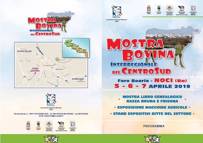 04 01mostrabovina3