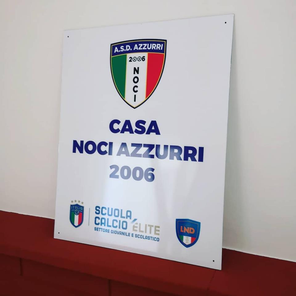 08 28 novità noci azzurri 2006