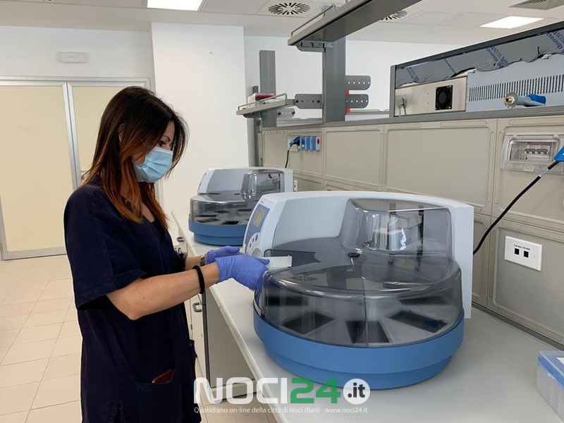 08 19 laboratorio covid