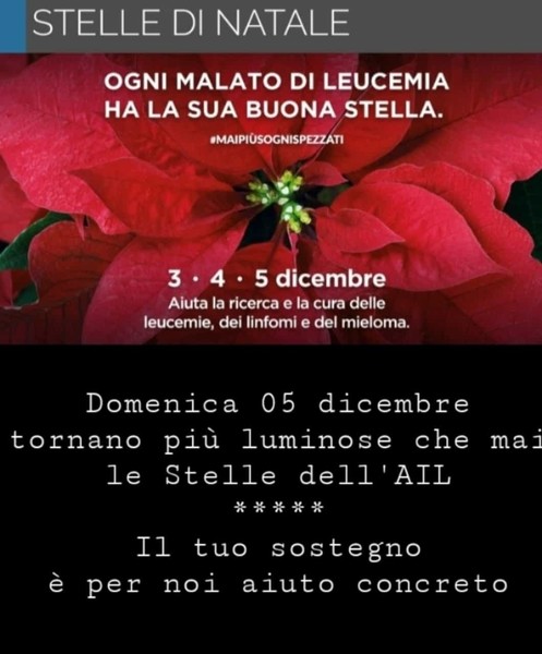 12 06 AIL Stelle di Natale 2019
