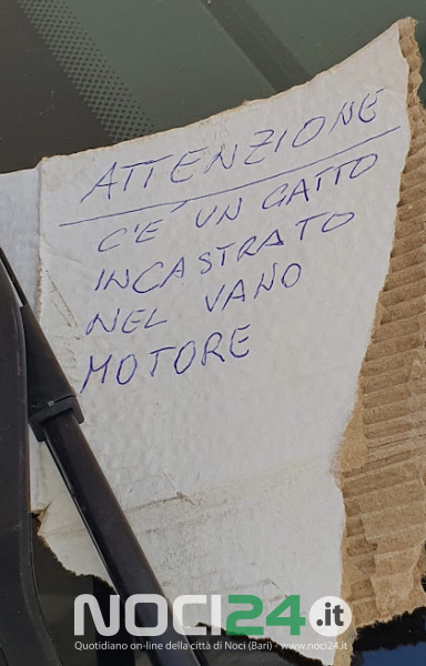 04 28 MicinoBiglietto
