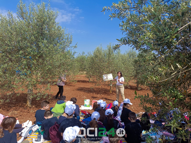 05 18 merenda oliveta