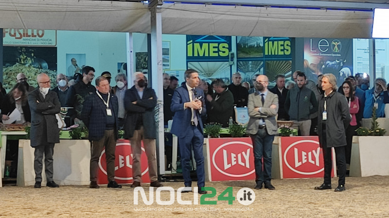 03 27 mostra bovina