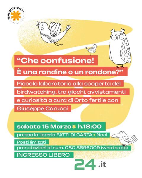 03 08 Che confusione