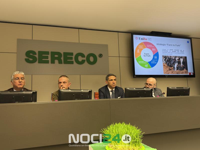 03 04 sereco