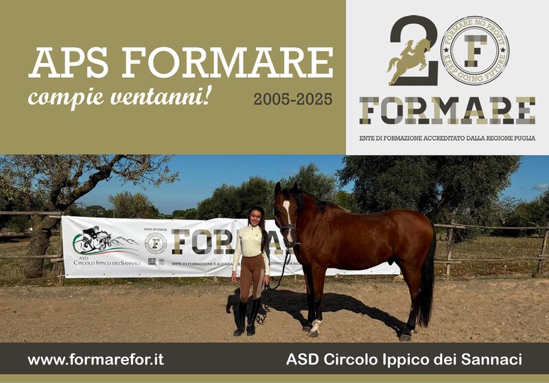 10 16 formare