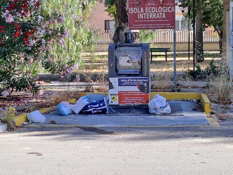 06 27 Francavilla